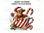 Load image into Gallery viewer, Christmas Highland Cow - Direct To Film Transfer
