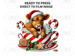 Load image into Gallery viewer, Christmas Highland Cow - Direct To Film Transfer
