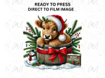 Load image into Gallery viewer, Christmas Highland Cow - Direct To Film Transfer
