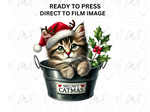 Load image into Gallery viewer, Christmas Kitten - Direct To Film Transfer
