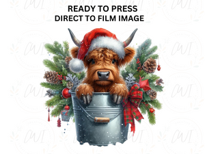 Christmas Highland Cow - Direct To Film Transfer