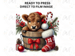 Load image into Gallery viewer, Christmas Highland Cow - Direct To Film Transfer
