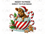 Load image into Gallery viewer, Christmas Highland Cow - Direct To Film Transfer
