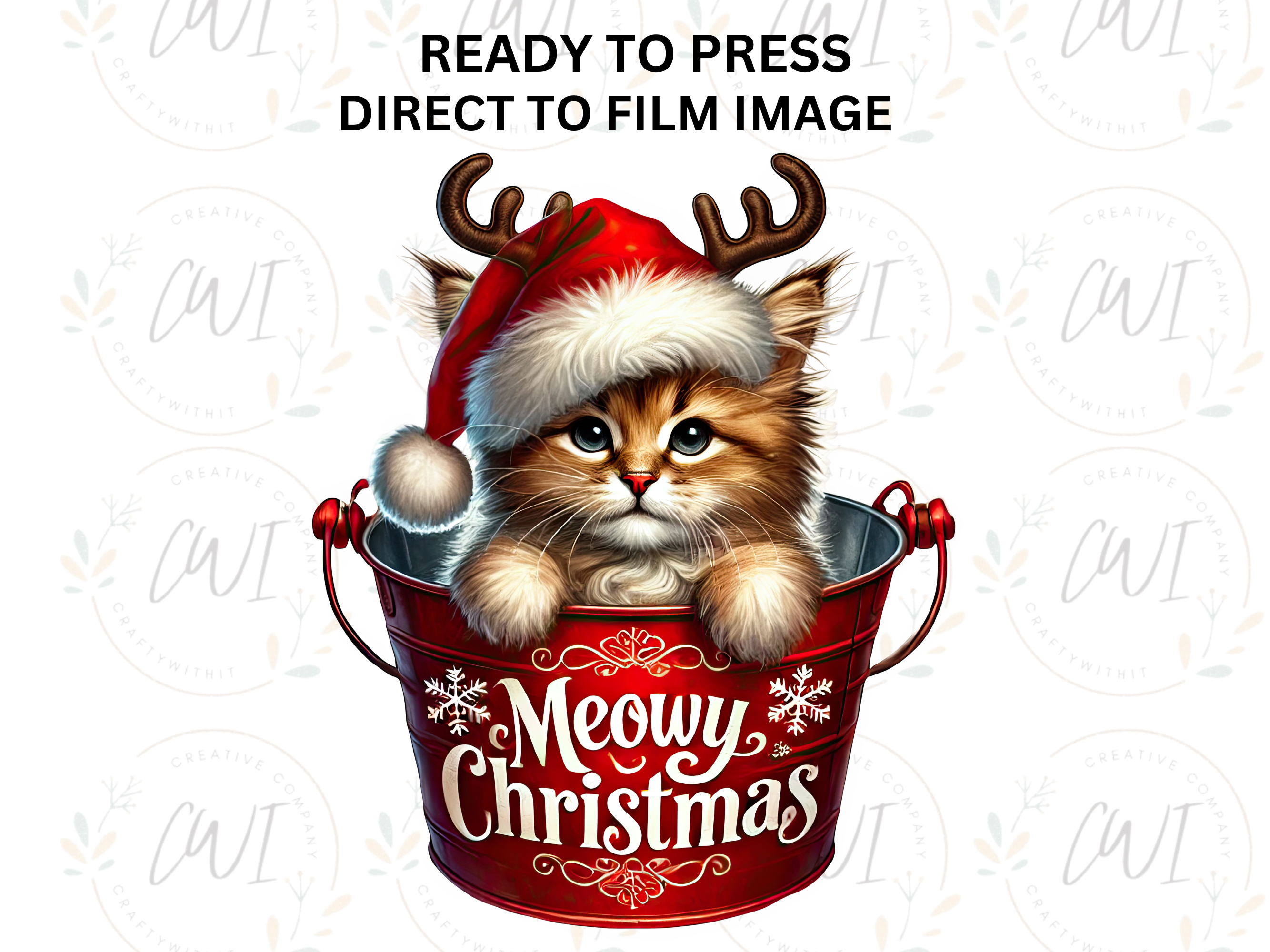 Christmas Kitten - Direct To Film Transfer