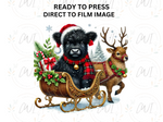 Load image into Gallery viewer, Christmas Highland Cow - Direct To Film Transfer
