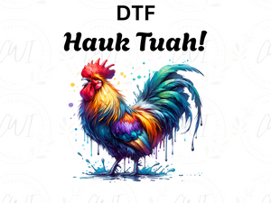 Hawk Tuah - Direct To Film Transfer