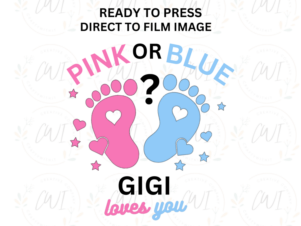 Baby Reveal - Pink Or Blue GiGi - Adult Direct To Film Transfer