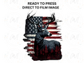 Buck With American Flag - Adult Direct To Film Transfer