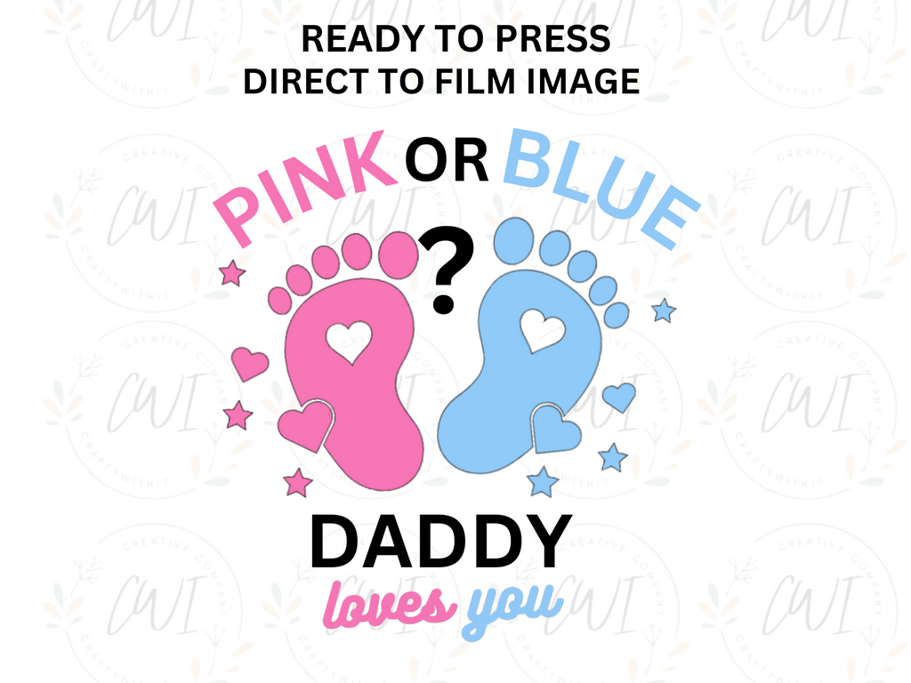 Baby Reveal - Pink Or Blue Daddy - Adult Direct To Film Transfer