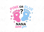 Load image into Gallery viewer, Baby Reveal - Pink Or Blue Nana - Direct To Film Transfer
