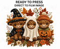Halloween Highland Cow DTF Transfer - Youth/Adult Direct To Film Transfer