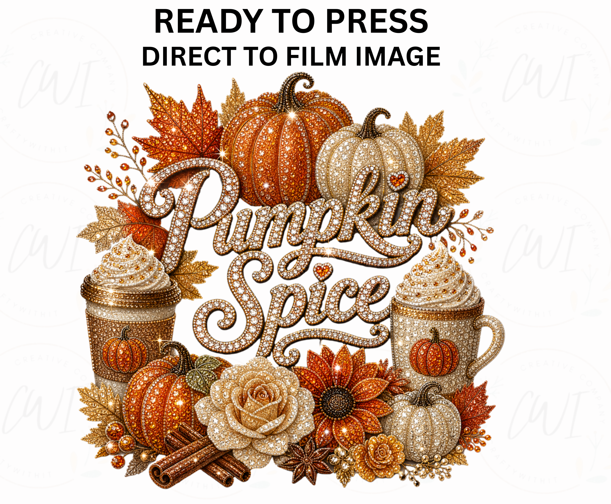 Pumpkin Spice - Youth/Adult Direct To Film Transfer
