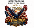 Patriotic 250 Years  - Adult Direct To Film Transfer