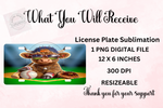 Load image into Gallery viewer, Highland Cow Baseball 1 License Plate - Digital Download
