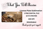 Load image into Gallery viewer, Bald Eagle With American Flag License Plate - Digital Download
