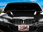 Load image into Gallery viewer, Highland Cow 2 License Plate - Digital Download
