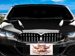 Load image into Gallery viewer, Highland Cow 1 License Plate - Digital Download
