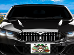 Load image into Gallery viewer, Highland Cow Baseball 1 License Plate - Digital Download
