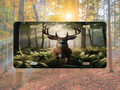 Buck In The Forest - License Plate Digital Download