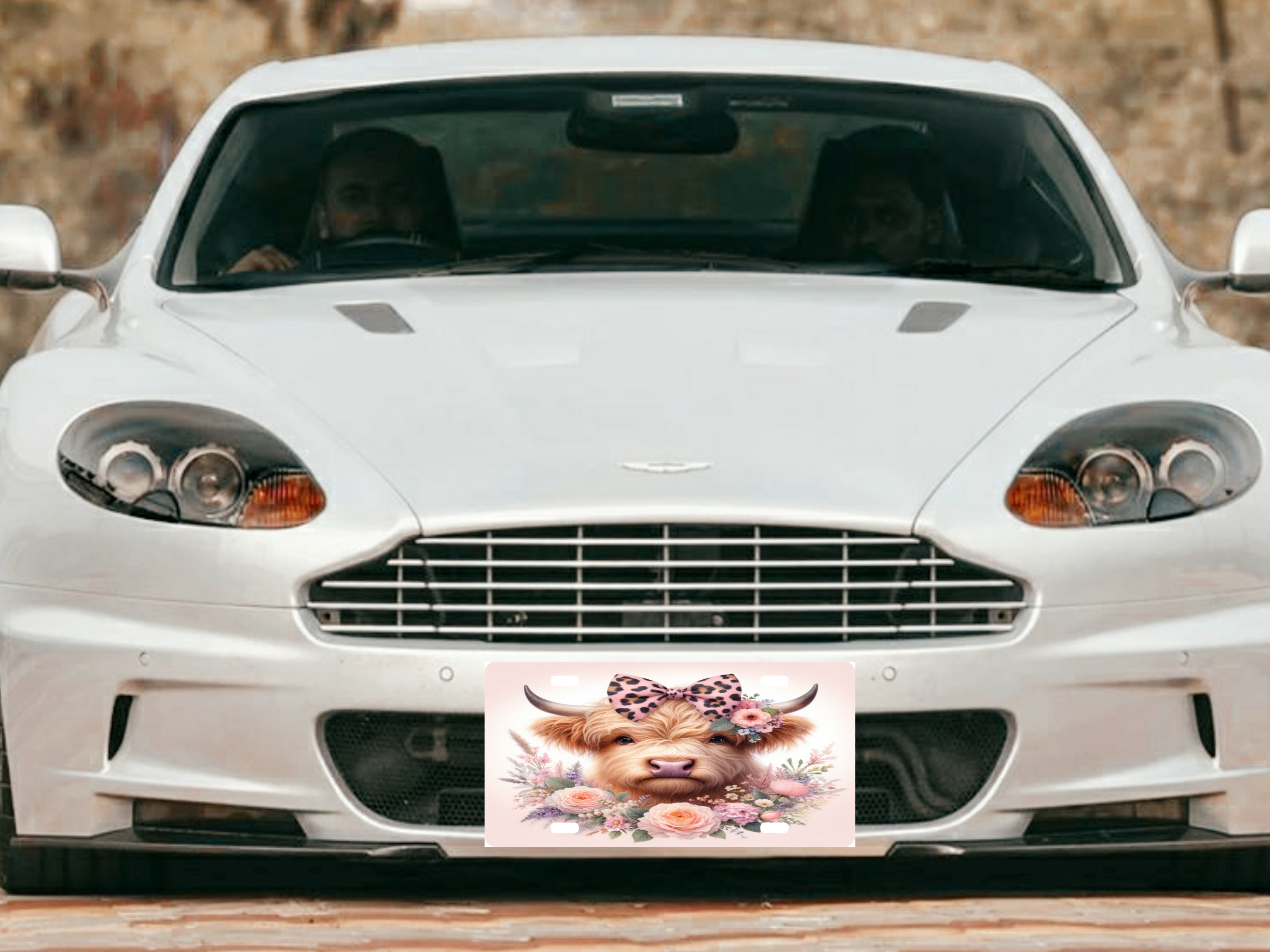 Highland Cow 1 - License Plate Digital Download