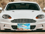 Load image into Gallery viewer, Beach 1 License Plate - Digital Download
